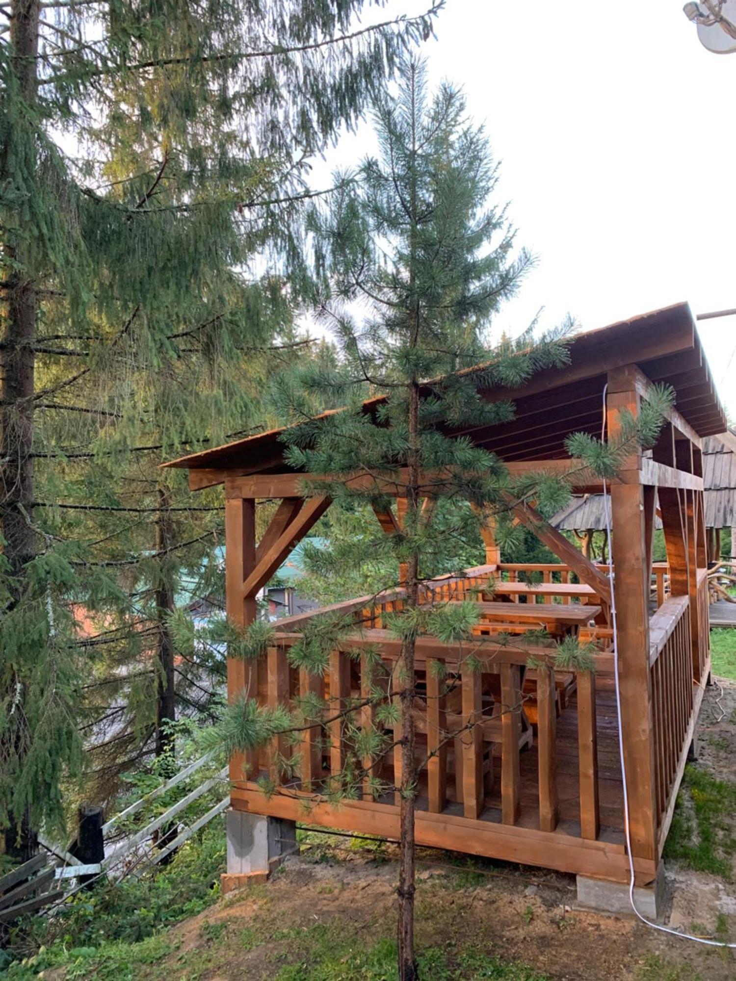 Hotel Novoe Shale 亚布卢尼齐亚 外观 照片